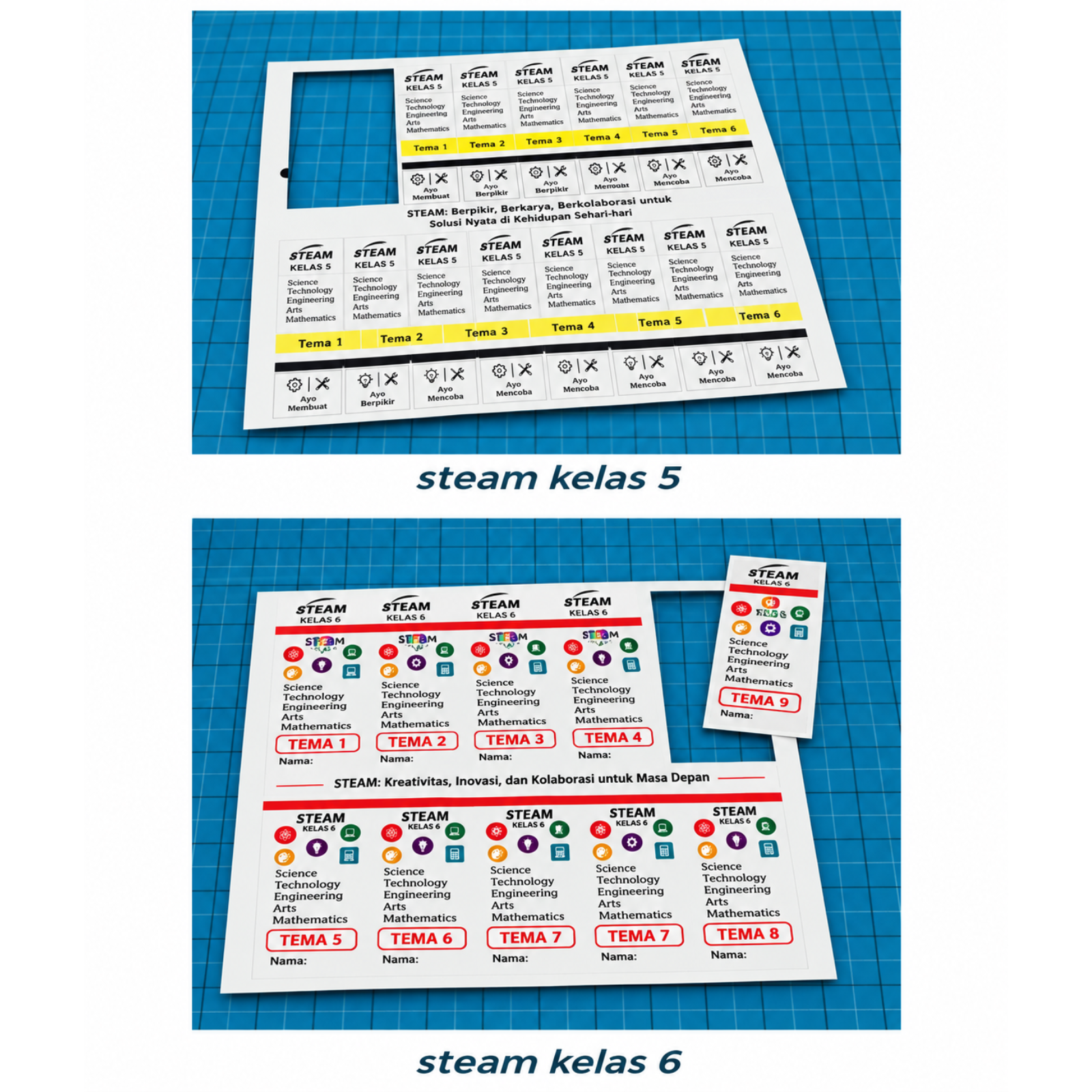 Class 5 Indicators