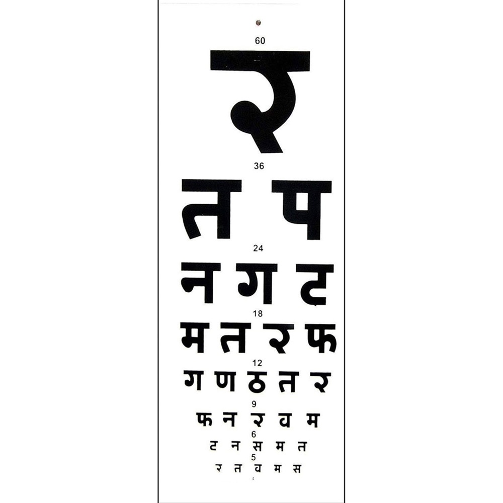 HINDI VISION CHART